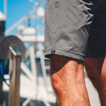 Harbor Daze